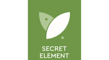 Secret Element
