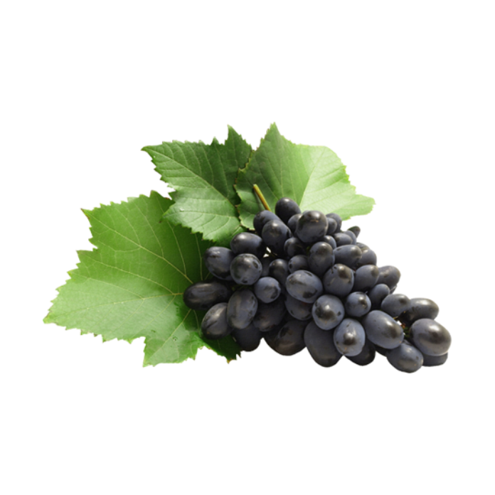 Moldova Grapes